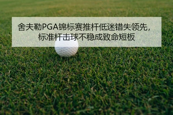 she-fu-lei-jin-biao-sai-tui-gan-di-mi-cuo-shi-ling-xian-biao-zhun-gan-ji-qiu-bu-wen-cheng-zhi-ming-duan-ban-2-419.jpg