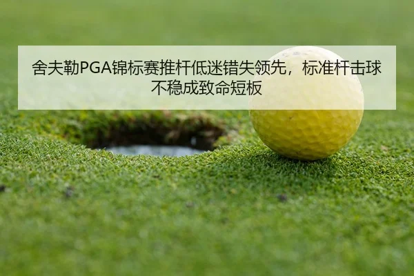 she-fu-lei-jin-biao-sai-tui-gan-di-mi-cuo-shi-ling-xian-biao-zhun-gan-ji-qiu-bu-wen-cheng-zhi-ming-duan-ban-3-462.jpg