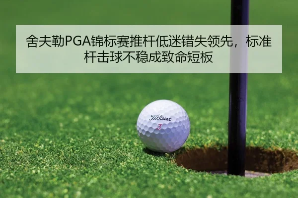 舍夫勒PGA锦标赛推杆低迷错失领先，标准杆击球不稳成致命短板